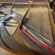 2005 J Pramberger cherry French Provincial grand piano - Grand Pianos